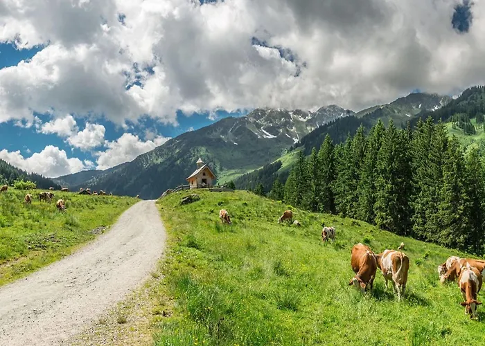 Holiday home Wildschoenau-near Area *