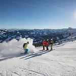 Wildschoenau-near Area بيت للعطل نيديراو