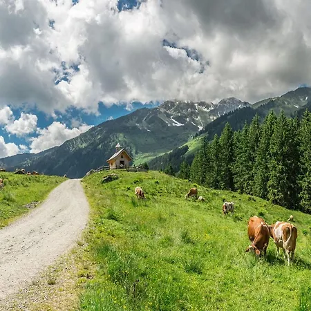 Σπίτι διακοπών Wildschoenau-near Area *