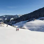 Wildschoenau-near Area Tatil Evi