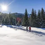 Wildschoenau-near Area Tatil Evi *